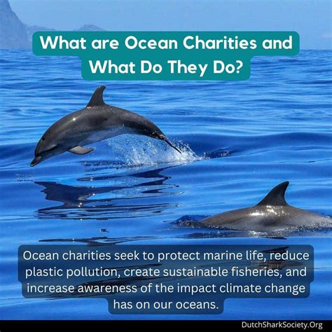 best ocean charities|Home .